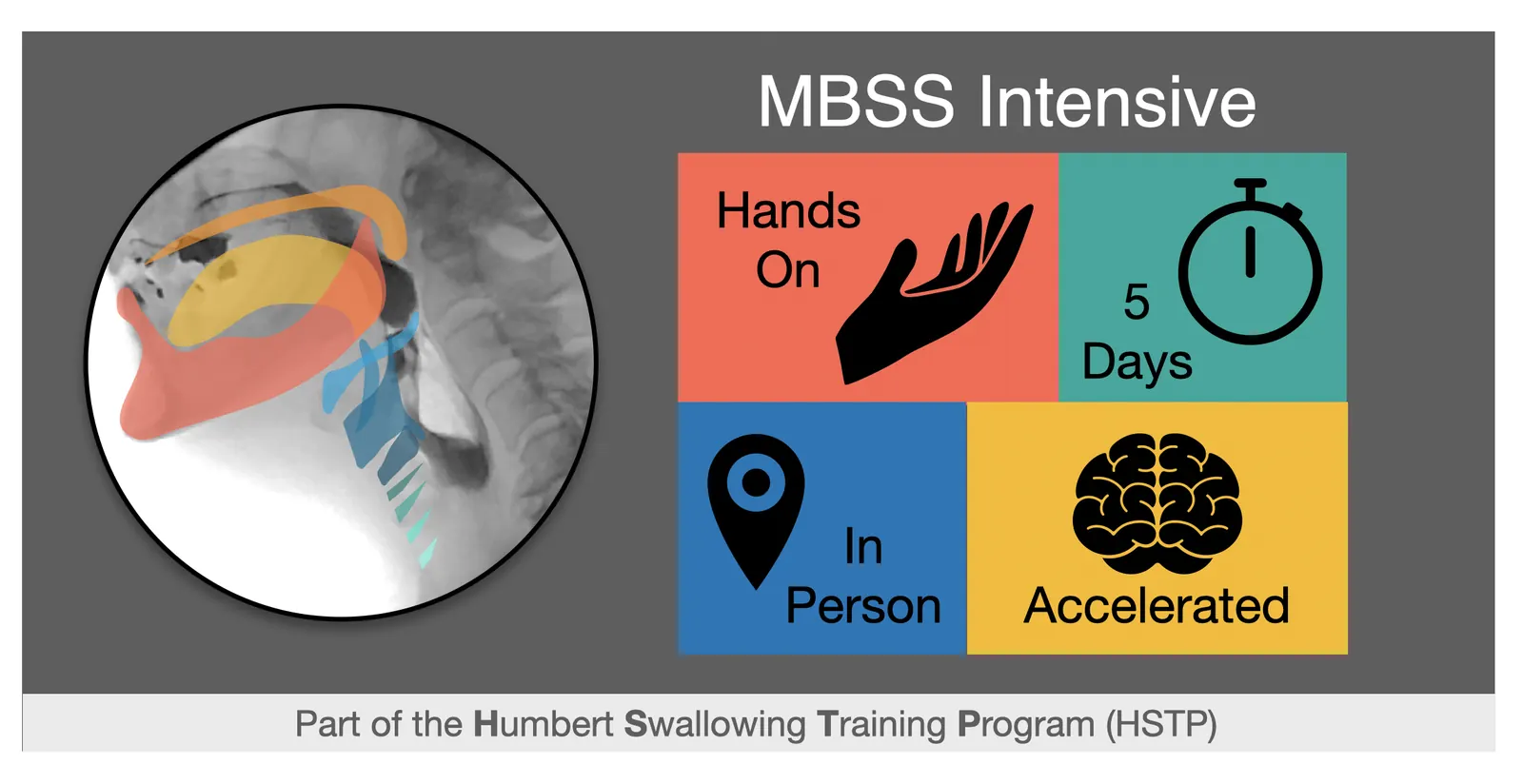 Original MBSS Intensive artwork showing hands-on, five-day, in-person accelerated training