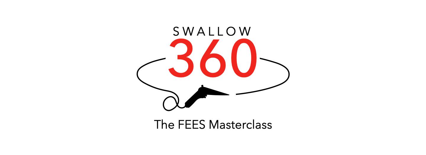 Original Swallow 360 FEES Masterclass artwork