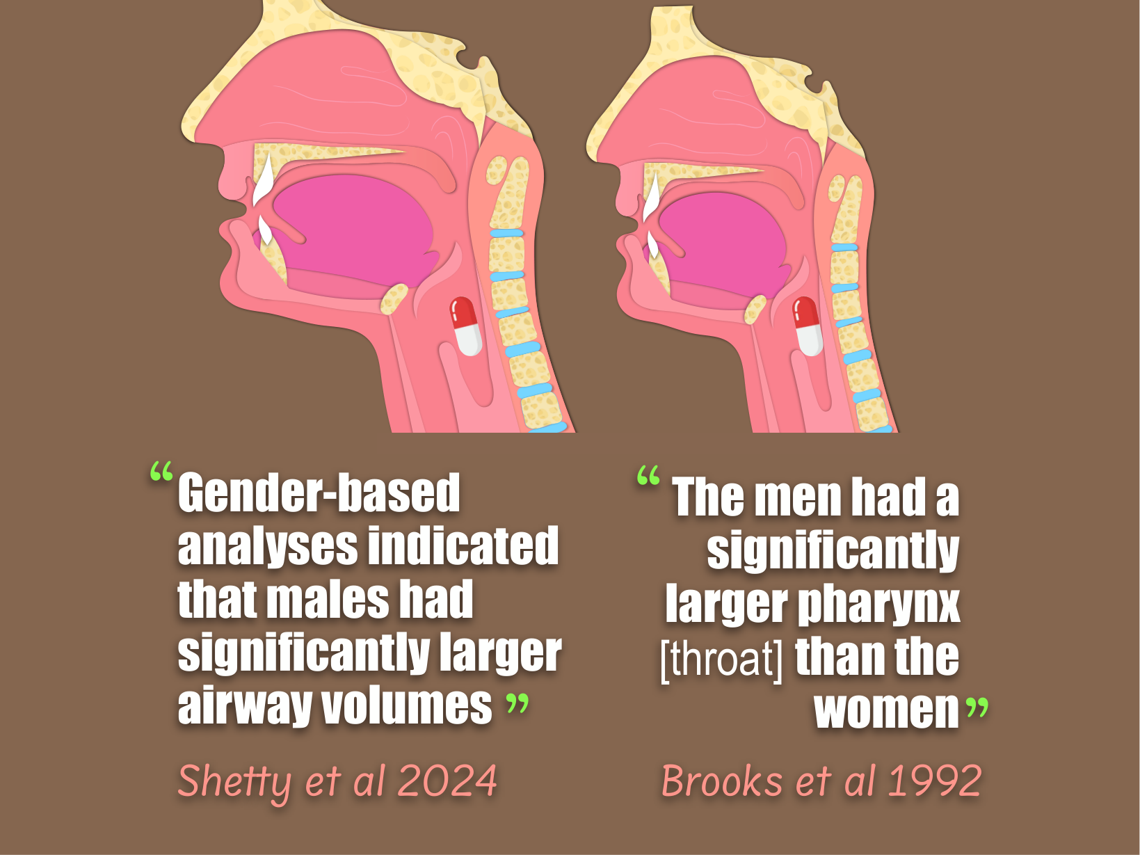 Dr. Humbert's teaching graphic comparing published findings about pharyngeal and airway volume by sex